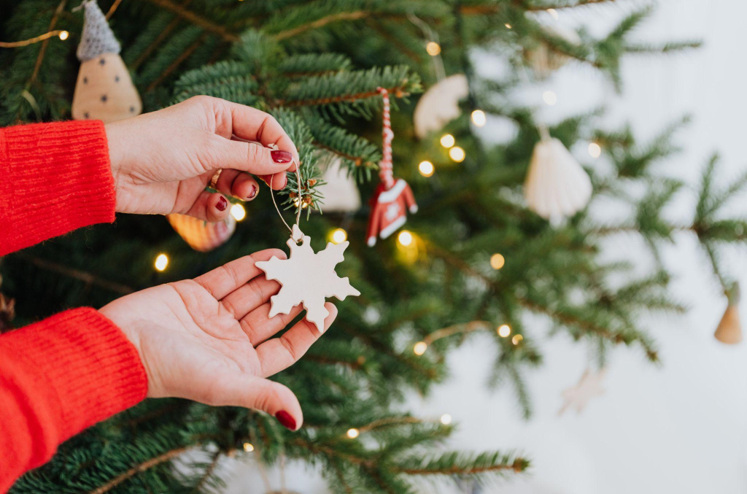 The Joy of Christmas Stuff: Finding the Perfect Tree